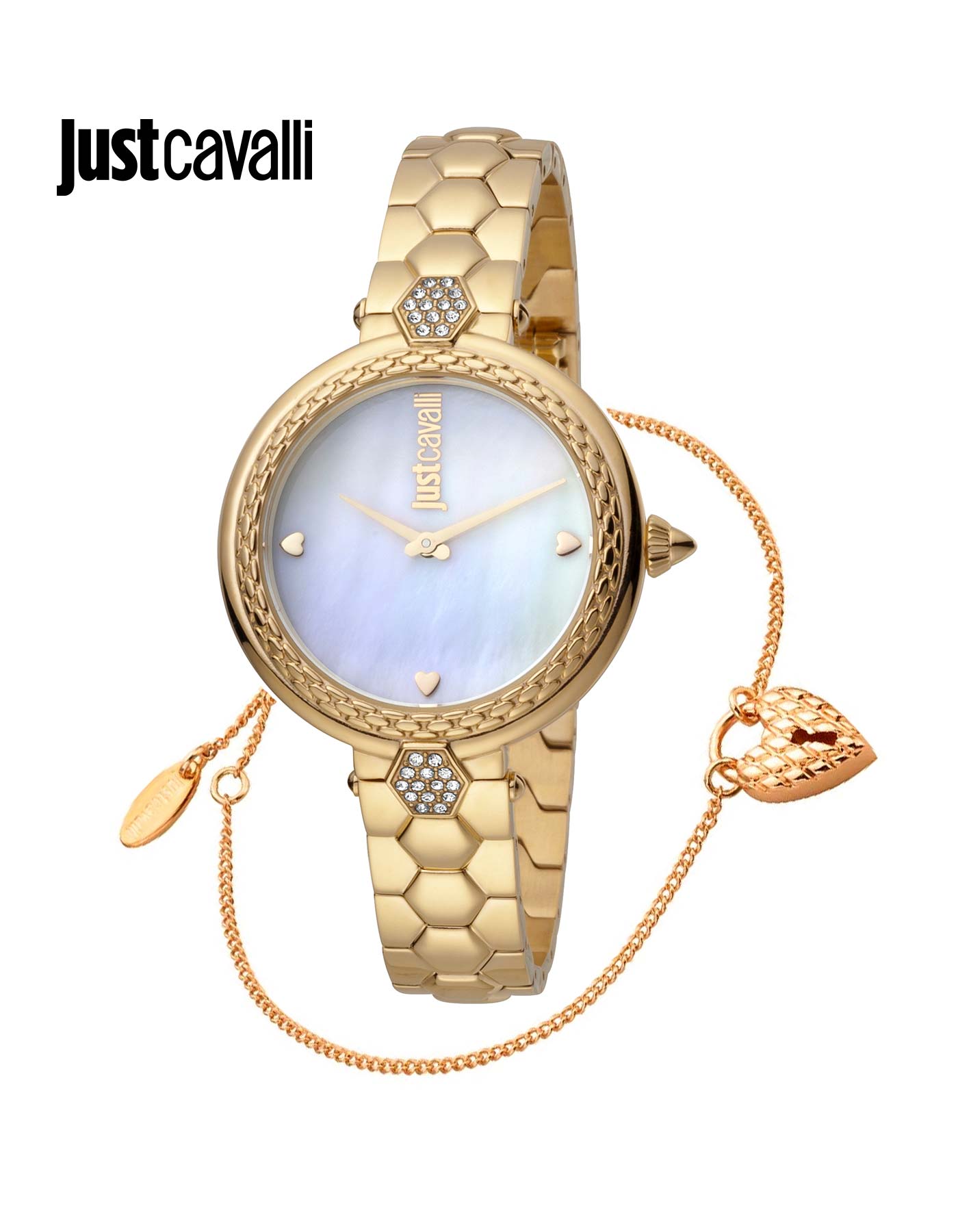 Buy Just Cavalli SET women's Watch JC1L257M0045 