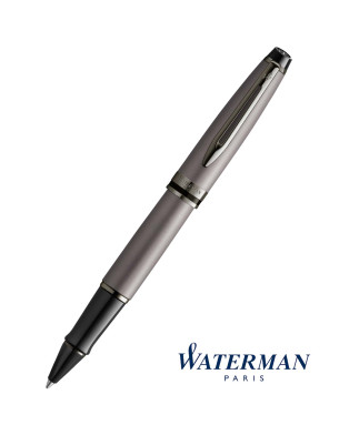 Waterman Expert Rollerball Pen - Metallic Silver